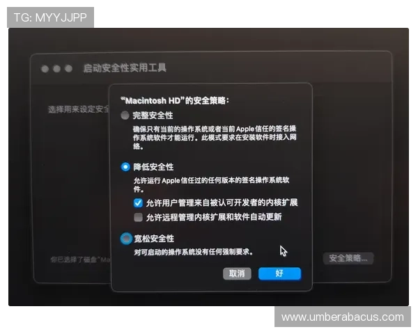 开云游戏app平台安全性分析：保障用户隐私与数据安全的实用措施