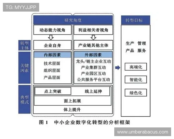中国开云在中国市场的数字化转型与线上线下融合发展路径