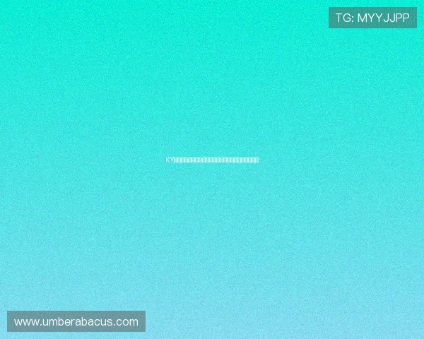 KY体育中国用户指南帮助新手快速上手畅享精彩体育赛事